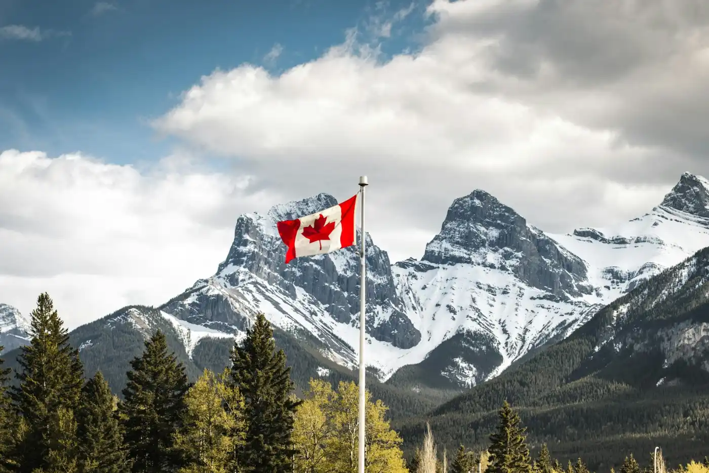 Close-up of the Canadian flag, representing our full range of immigration services
