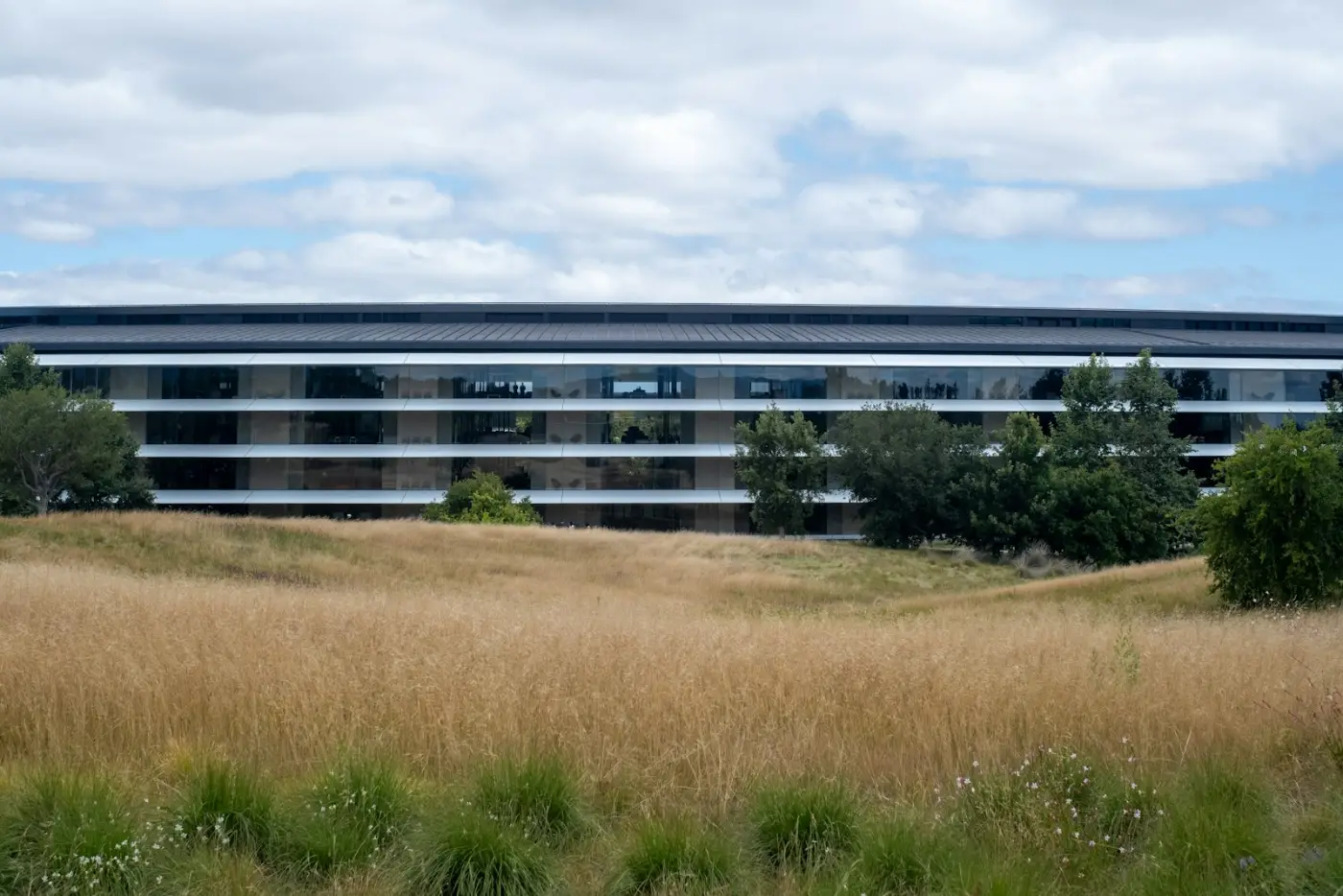 Modern technology company office campus in the United States, home to many H-1B workers